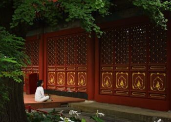 Unlock the Power of Mindful Eating Practices for Better Digestion