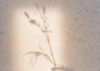 Unlock the Power of Mindful Listening in Daily Conversations