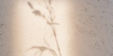 Unlock the Power of Mindful Listening in Daily Conversations