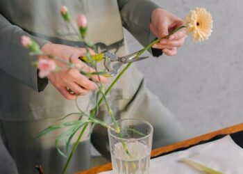 Unlocking Your Productivity: How Mindfulness for Focus Can Transform Your Workday
