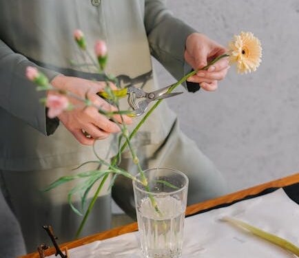 Unlocking Your Productivity: How Mindfulness for Focus Can Transform Your Workday